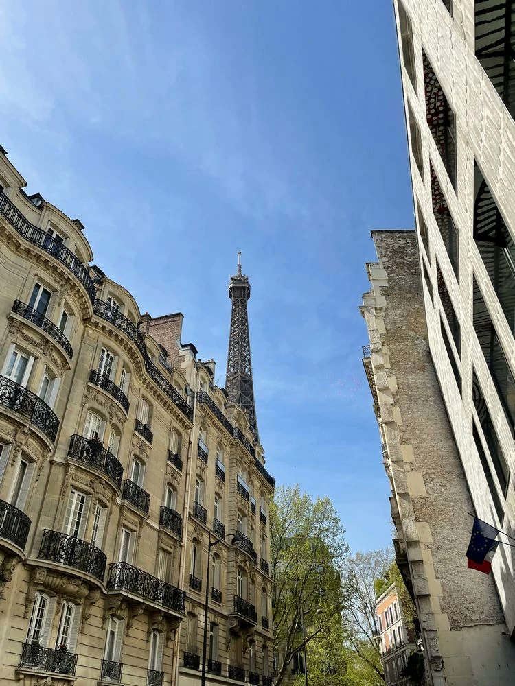 Photo de Maître Rémy SCHLICH